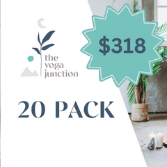 20 Pack Punch Pass