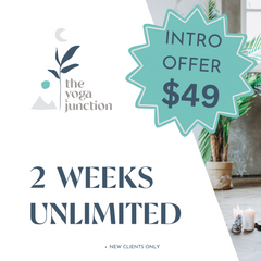 Intro Offer-2 Weeks Unlimited