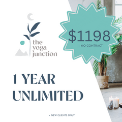 1 year Unlimited Pass