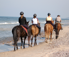 Costa Rica - A Woman's Journey Back to Self-Twin Bed