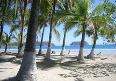 Costa Rica- A Woman's Journey Back to Self-Queen Bed
