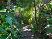 Costa Rica- A Woman's Journey Back to Self-Queen Bed
